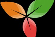 Trilium开源笔记v0.101.1绿色版